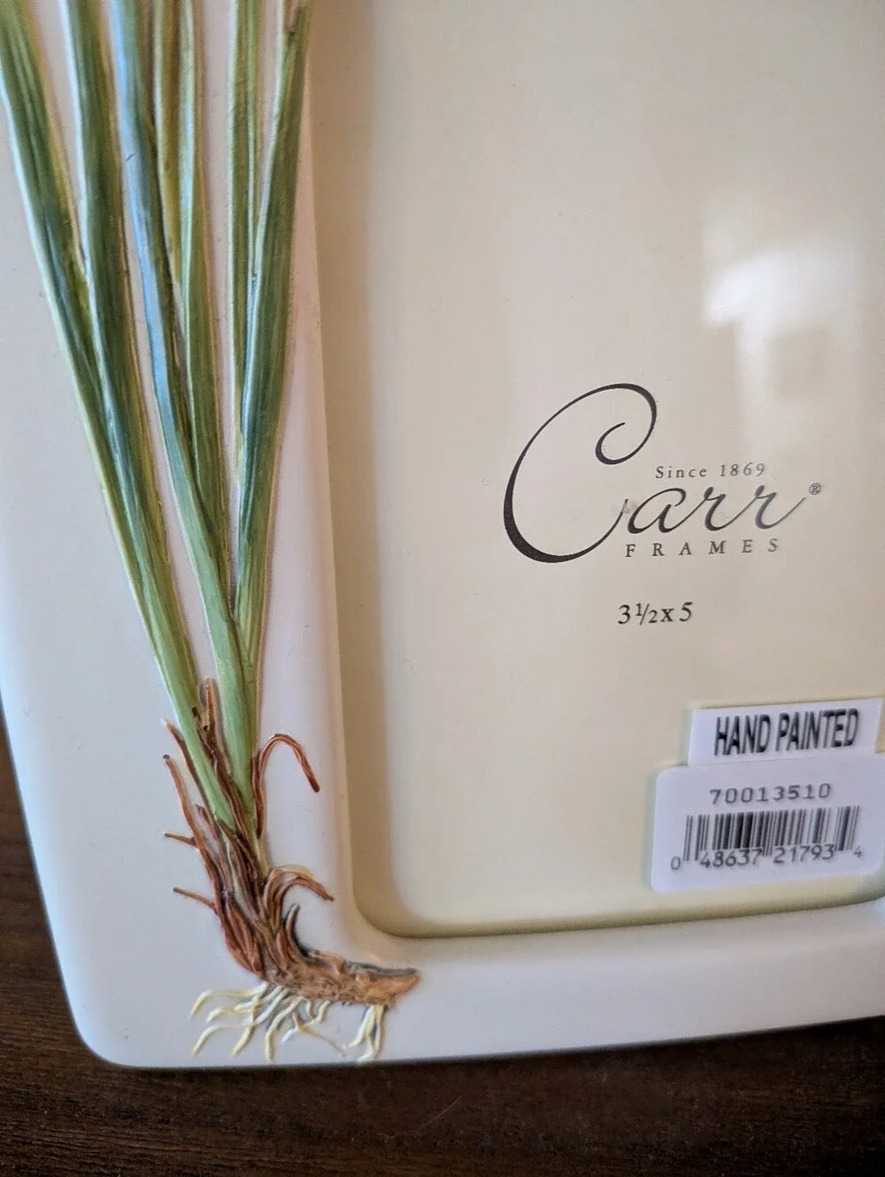 Carr Frames Botanical Garden Iris Floral Picture